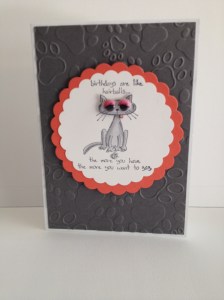 Birthdays Are Like Hairballs